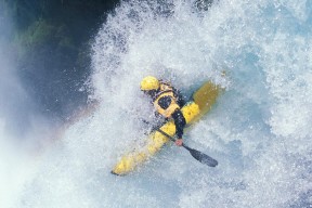 未来之星崭露头角！新鲜血液冲刺巅峰！